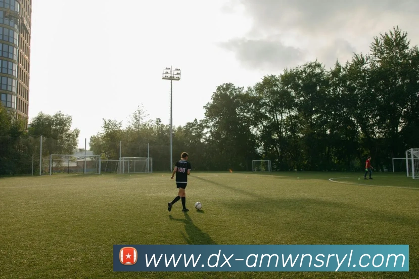 App Interface Preview